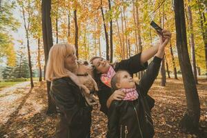 tre generationer av kvinnor och hund känna roligt se på kamera Framställ för självporträtt bild tillsammans, rolig upphetsad barn, mamma och mormor ha roligt njut av helgen ta selfie på grej i höst foto