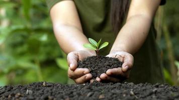 världsmiljö dag koncept med flicka håller små träd i båda händerna för att plantera i marken.