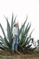 mexikansk cowboy, agave växter, natur skönhet, solglasögon, småbarn, fängslande landskap foto