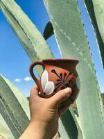 pulque en traditionell mexikansk dryck från de maguey växt, rotad i natur foto