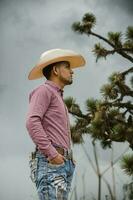 cowboy med en skägg bär jeans, en pläd skjorta, och en cowboy hatt, njuter de utomhus under de himmel foto