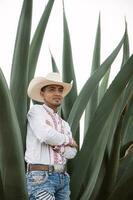 mexikansk cowboy, agave växter, natur skönhet, solglasögon, småbarn, fängslande landskap foto