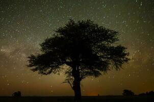 pampas natt landskap , la pampa provins, patagonien , argentina. foto