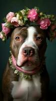 hund med blommor porträtt av tjur arab hund med blomma krona. ai generativ foto