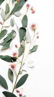 gren med blommor. blommor sammansättning eukalyptus löv och rosa blommor. ai genererad foto