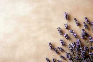 knippa av lavendel- blommor. lavendel- torr lila blommor. minimal platt lägga, kopia Plats bakgrund. ai genererad foto