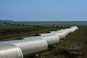 gas rörledning konstruktion, la pampa provins , patagonien, argentina. foto