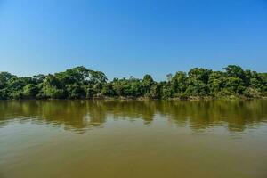 pantanal skog ekosystem, mato grosso, Brasilien foto