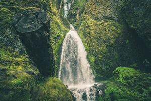 naturskön oregon mossiga vattenfall foto