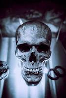 mänsklig skalle i detalj på mörk bakgrund foto