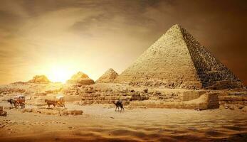 pyramiderna i Egypten foto