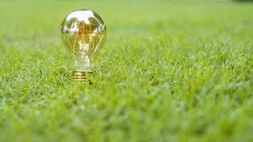 glödlampa i grönt gräs, rädda jorden konceptet foto