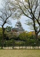 japansk höst Färg av okej slott i okayama, japan foto