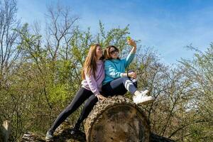 par av Söt vänlig kvinnor tar en selfie med smartphone Sammanträde på lugg av loggar foto