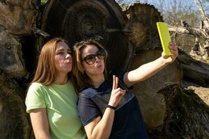 par av Söt vänlig kvinnor tar en selfie framställning rolig ansikten foto