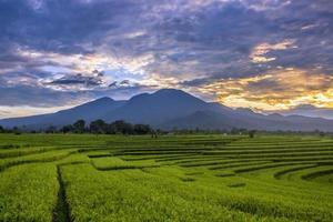 skönhet soluppgång vid gröna risfält indonesia foto