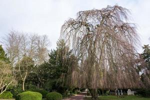 Frankfurts kyrkogård hauptfriedhof foto