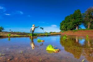 skön morgon- se indonesien panorama landskap irländare fält med skönhet Färg och himmel naturlig ljus foto