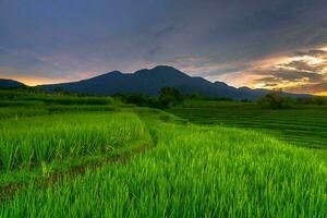 skön morgon- se indonesien panorama landskap irländare fält med skönhet Färg och himmel naturlig ljus foto