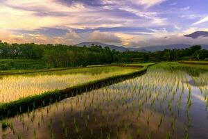 skön morgon- se indonesien panorama landskap irländare fält med skönhet Färg och himmel naturlig ljus foto