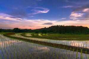 skön morgon- se indonesien panorama landskap irländare fält med skönhet Färg och himmel naturlig ljus foto