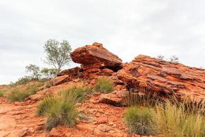 Kings Canyon norra territoriet Australien foto