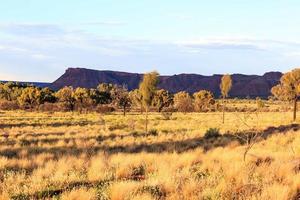 kungar kanjon vid solnedgången norra territoriet australien foto