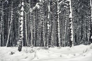 vinterlandskap i de franska alperna foto