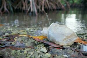 selektiv fokus till plast kopp avfall med defocused mangrove skog bakgrund. begrepp Foto av miljö- förorening runt om de hav och mangrove skogar
