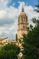 se av de klocka torn av de historisk salamanca katedral foto