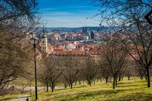 prag stad sett från de petrin trädgårdar på en solig dag på de början av vår foto