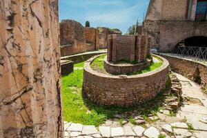 oval fontän av de cenatio av de flavian palats också känd som de domus flavia på de palatin kulle i rom foto