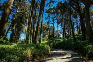 trädgårdar av pena parkera på de kommun av sintra foto