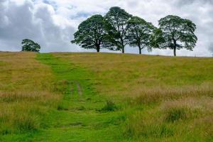 vackert landskap i Lyme Park Estate, Peak District, Storbritannien foto