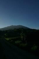 natur av indonesien foto