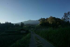 natur av indonesien foto