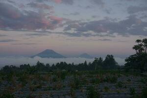 natur av indonesien foto