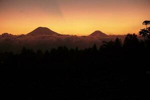 natur av indonesien foto