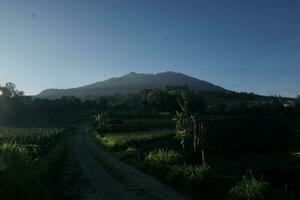 natur av indonesien foto