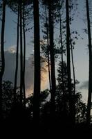 indonesien bra natur med underbar kultur foto