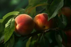 persikor knippa frukt. generera ai foto