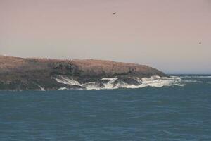 kust havsbild, santa cruz provinsen, Patagonien, argentina foto