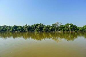 flod landskap och djungel, pantanal, Brasilien foto