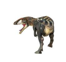 dinosaurie , carcharadontosaurus isolerat bakgrund foto