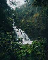 vattenfall på vägen till hana i maui, hawaii foto