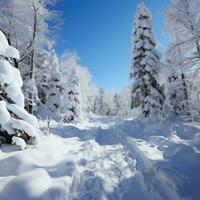 skön landskap, snöig väg i de skog mellan de träd, vinter- säsong. generativ ai foto