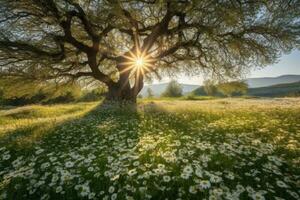 vår blomning äng med träd i bakgrund på soluppgång. generativ ai foto