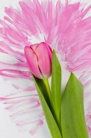 rosa tulpan på en vattenfärg bakgrund. de begrepp av blomma kreativitet. foto