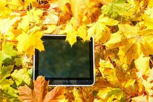 digital läsplatta med isolerat tom skärm. design attrapp med höst gul lönn löv på bakgrund. foto