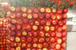 röd mogen äpplen i bushel korgar på de bondens marknadsföra foto